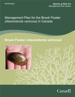 Management Plan for the Brook Floater (Alasmidonta Varicosa) in Canada