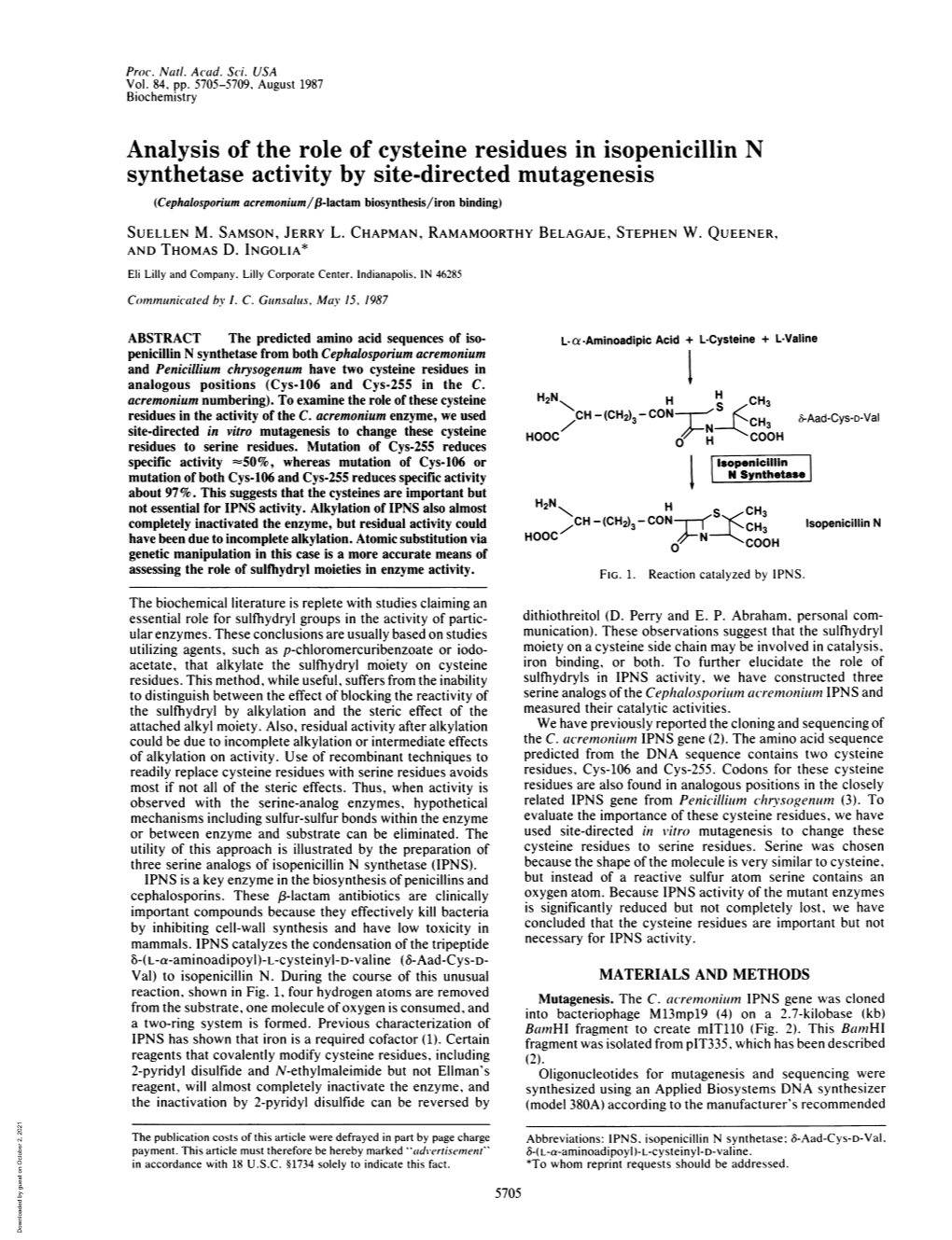 Analysis of the Role of Cysteine Residues in Isopenicillin N Synthetase Activity by Site-Directed Mutagenesis