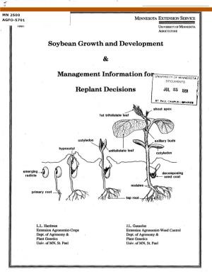 Soybean Growth and Development & Management Information Fo Replant Decisions