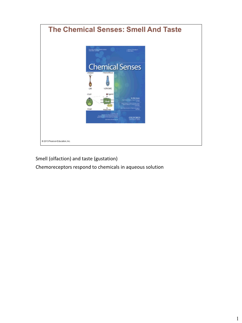 Smell (Olfaction) and Taste (Gustation) Chemoreceptors Respond to Chemicals in Aqueous Solution