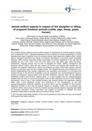 Animal Welfare Aspects in Respect of the Slaughter Or Killing of Pregnant Livestock Animals (Cattle, Pigs, Sheep, Goats, Horses)