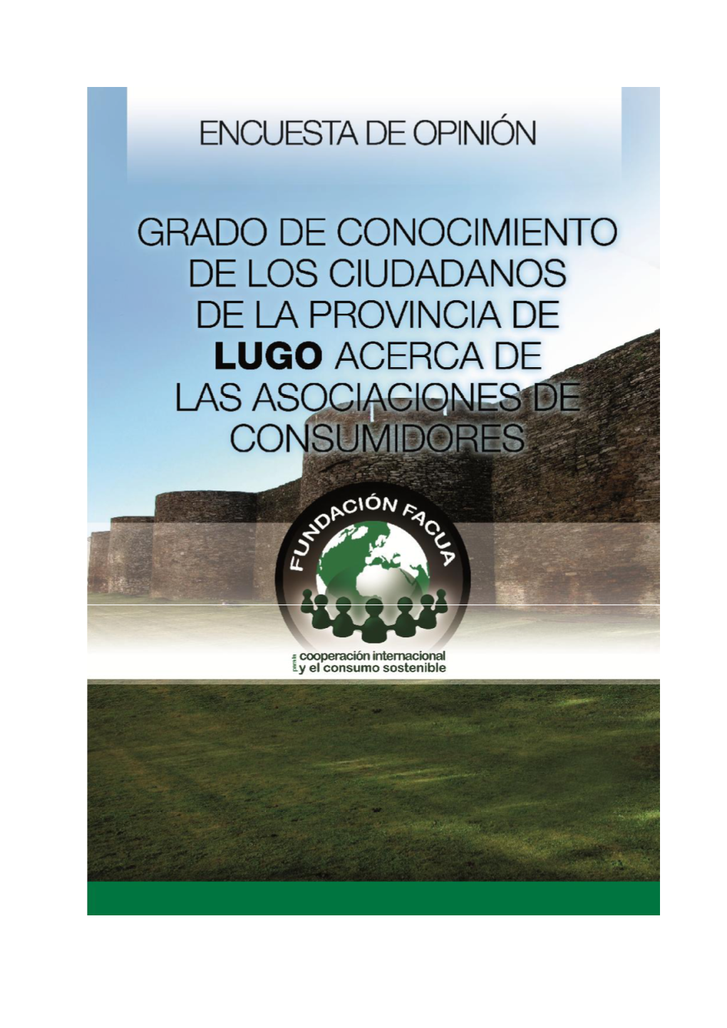Encuesta Fundacion Lugo.Pdf