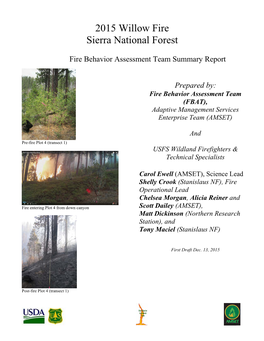 Fire Behavior Assessment Team Summary Report