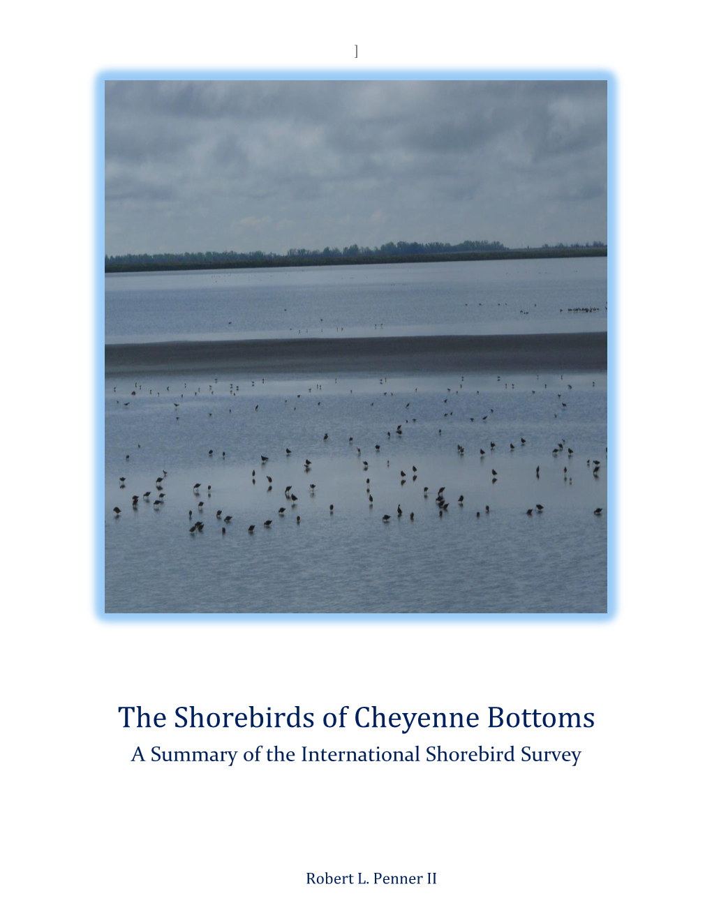 The Shorebirds of Cheyenne Bottoms a Summary of the International Shorebird Survey