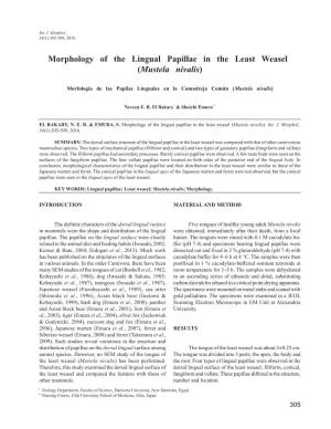 Morphology of the Lingual Papillae in the Least Weasel (Mustela Nivalis)