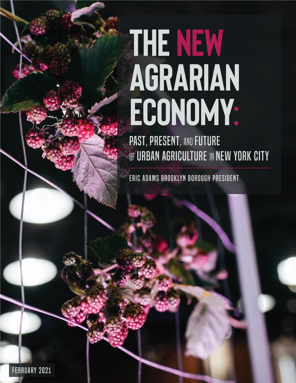 Past, Present, and Future of Urban Agriculture in New York City