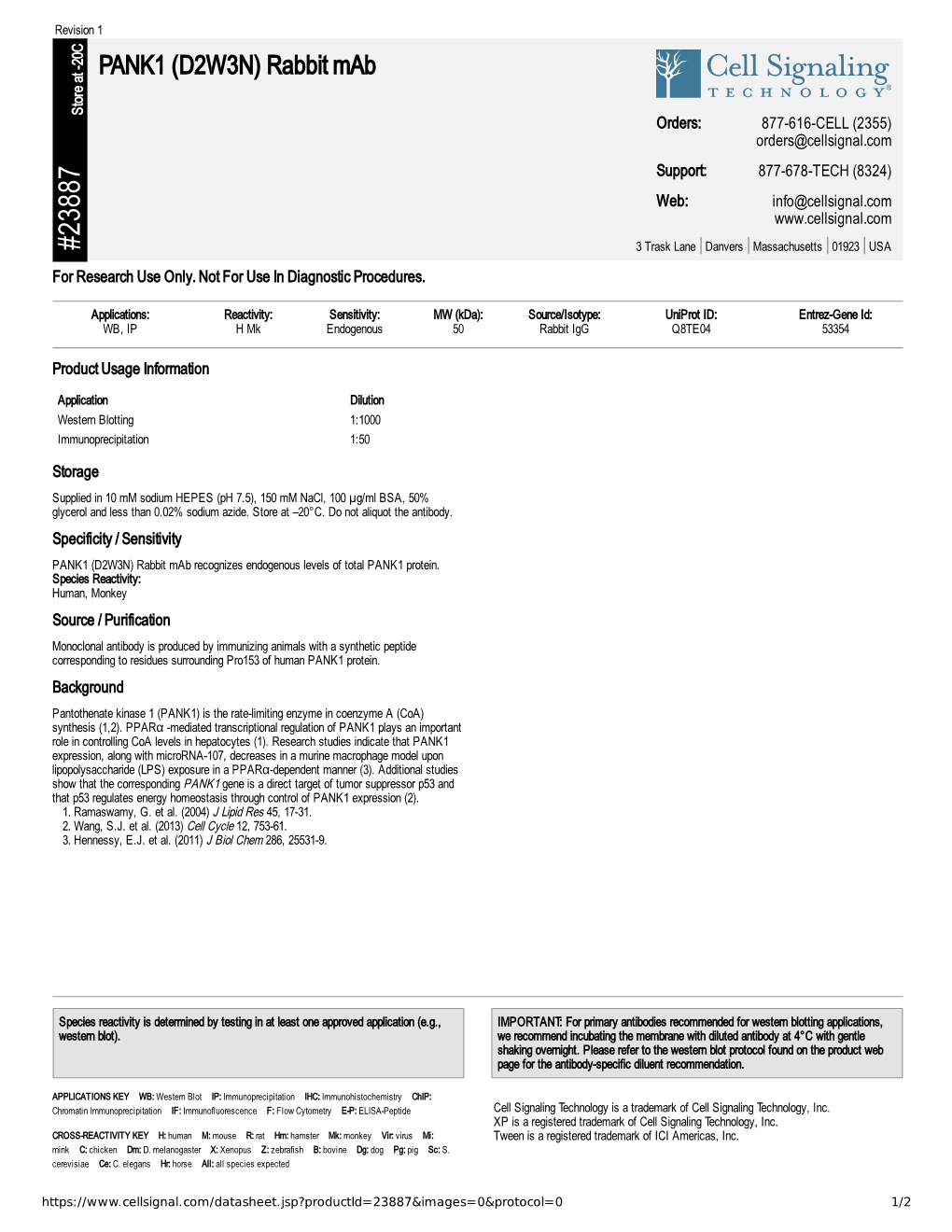 23887 PANK1 (D2W3N) Rabbit Mab