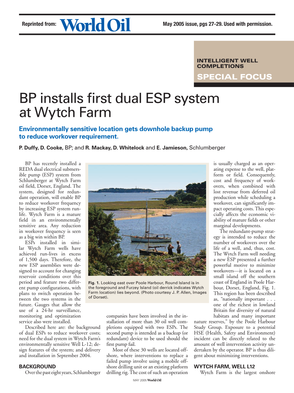 BP Installs First Dual ESP System at Wytch Farm