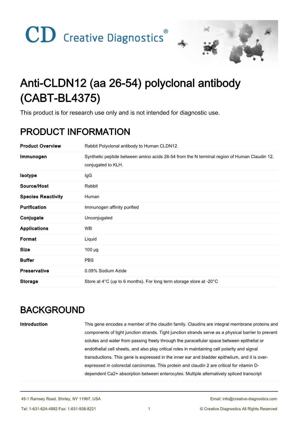 Anti-CLDN12 (Aa 26-54) Polyclonal Antibody (CABT-BL4375) This Product Is for Research Use Only and Is Not Intended for Diagnostic Use