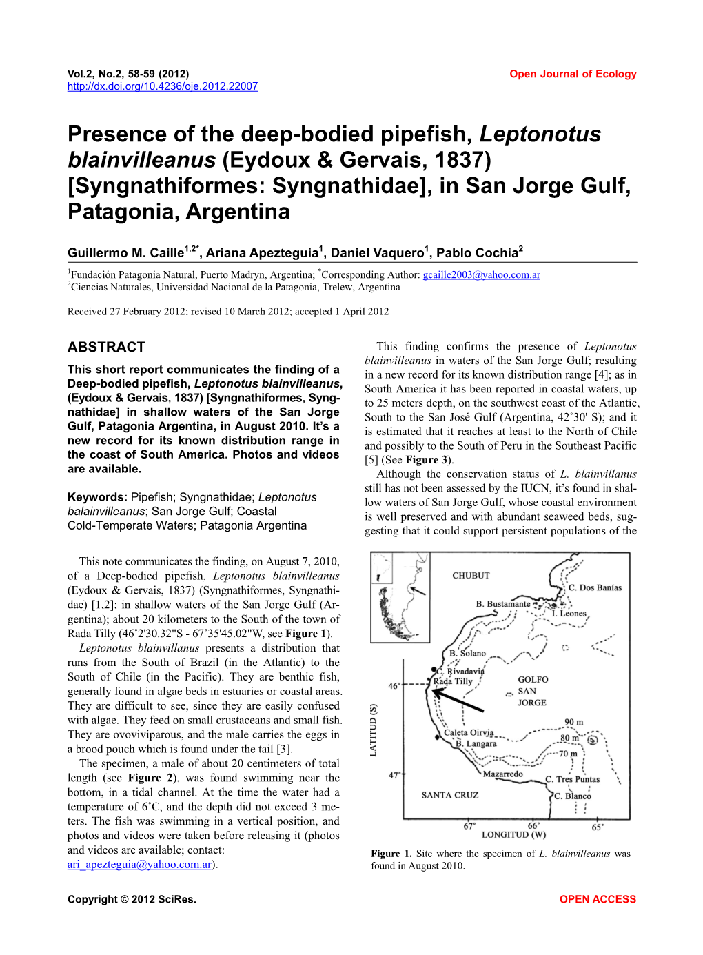 Presence of the Deep-Bodied Pipefish, Leptonotus Blainvilleanus (Eydoux & Gervais, 1837) [Syngnathiformes: Syngnathidae], In