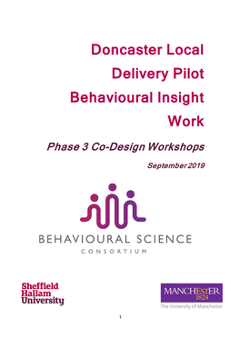 Doncaster Local Delivery Pilot – Phase 3 Report (September 2019)
