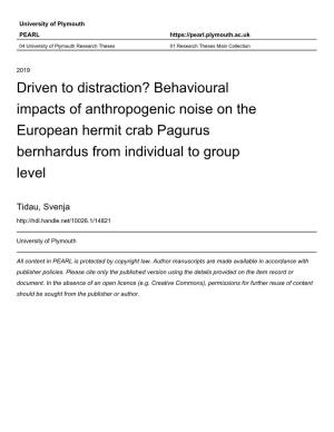 Behavioural Impacts of Anthropogenic Noise on the European Hermit Crab Pagurus Bernhardus from Individual to Group Level