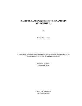 Radical Sam Enzymes in Thienamycin Biosynthesis