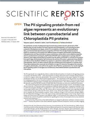 The PII Signaling Protein from Red Algae Represents an Evolutionary