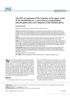 The SPA Arrangement of the Branches of the Upper Trunk of the Brachial Plexus: a Correction of a Longstanding Misconception and a New Diagram of the Brachial Plexus