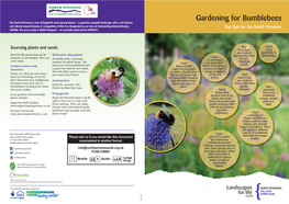 Gardening for Bumblebees Top Tips for the North Pennines