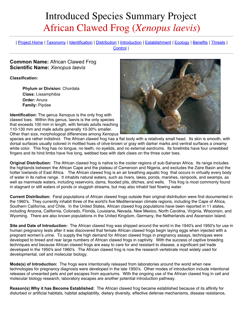 Introduced Species Summary Project African Clawed Frog (Xenopus Laevis)