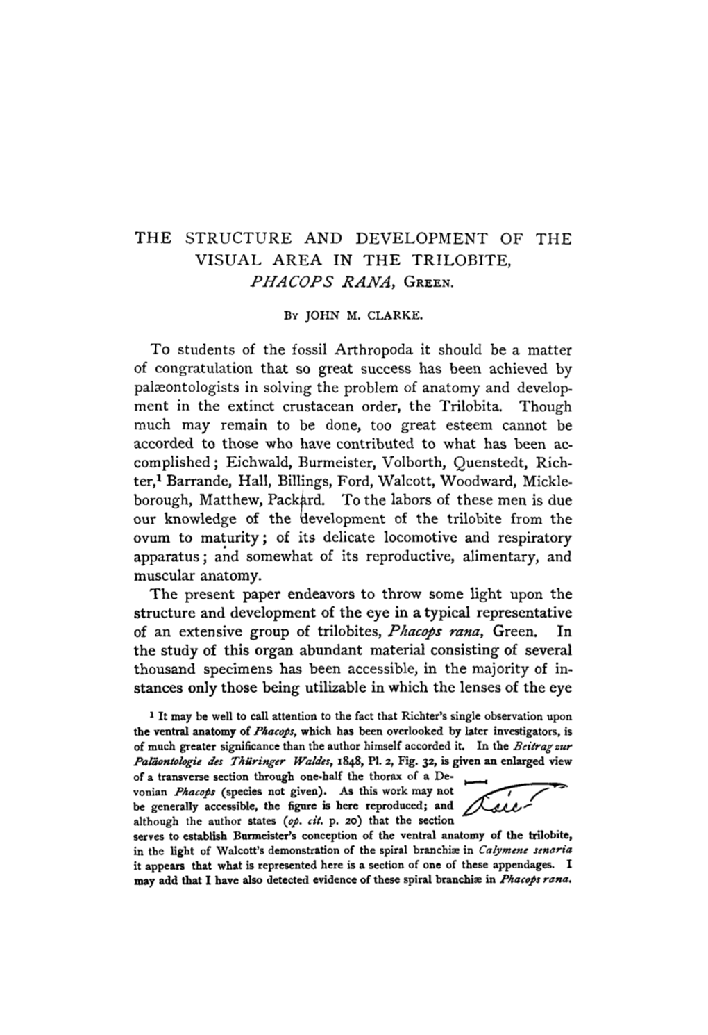 The Structure and Development of the Visual Area in the Trilobite, Phacops Rana, Green