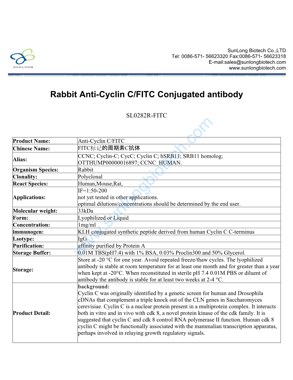 Rabbit Anti-Cyclin C/FITC Conjugated Antibody-SL0282R-FITC