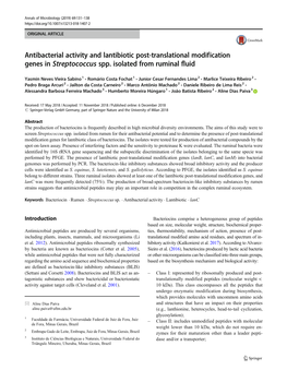 Antibacterial Activity and Lantibiotic Post-Translational Modification Genes in Streptococcus Spp