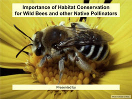 Bees and Other Native Pollinators
