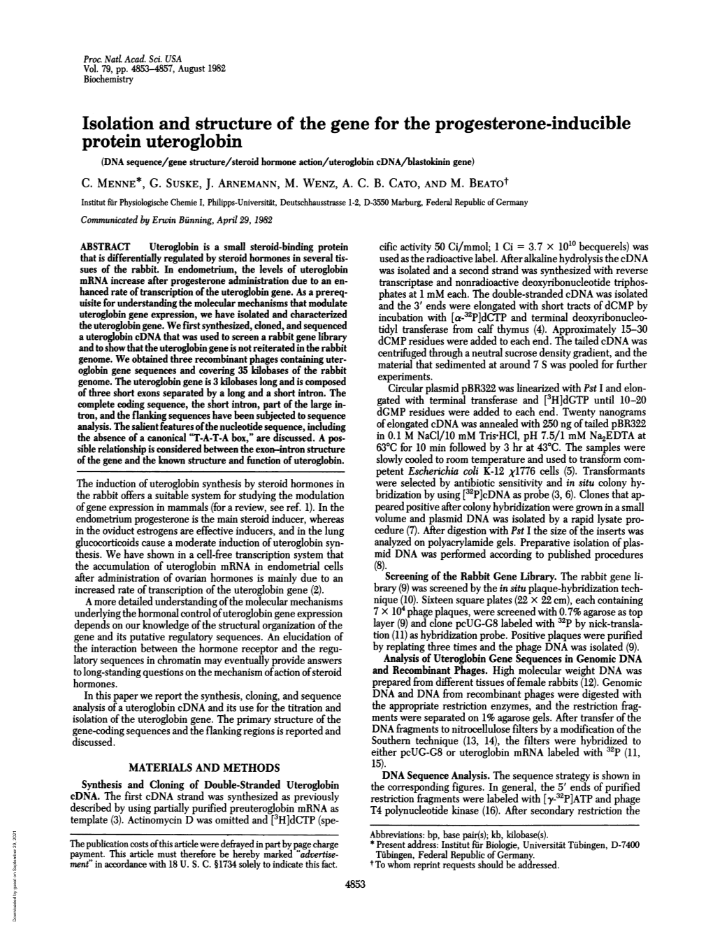 Isolation and Structure of the Gene for the Progesterone-Inducible Protein Uteroglobin