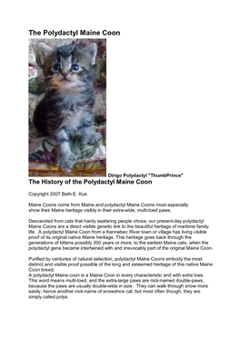 Dirigo Polydactyl "Thumbprince" the History of the Polydactyl Maine Coon