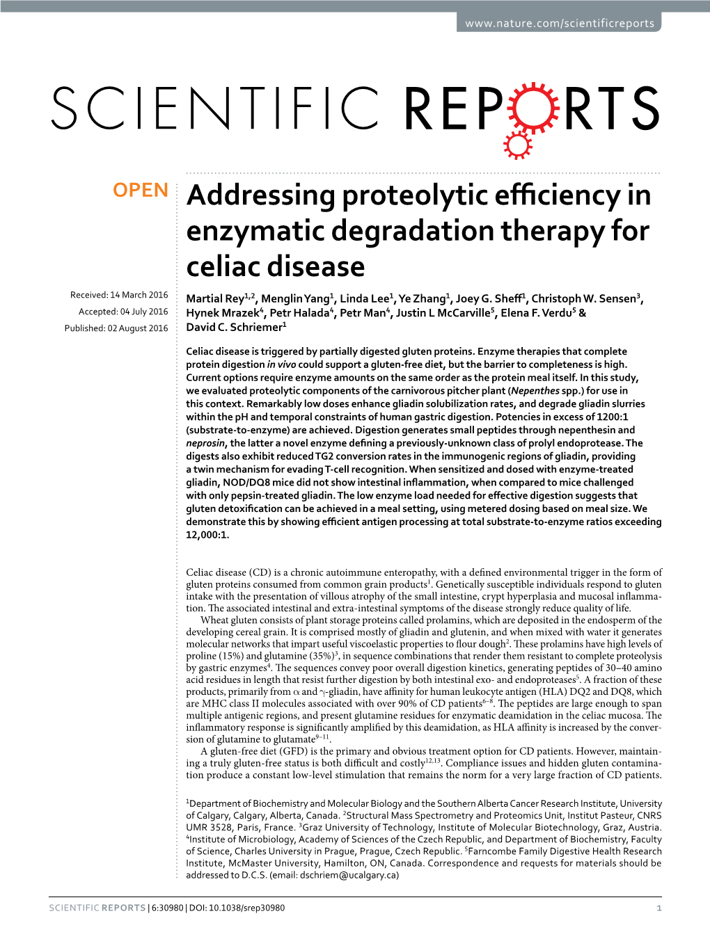 Addressing Proteolytic Efficiency in Enzymatic Degradation Therapy for Celiac Disease