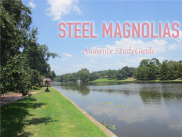 STEEL MAGNOLIAS Audience Studyguide PRODUCTION HISTORY PRODUCTION HISTORY
