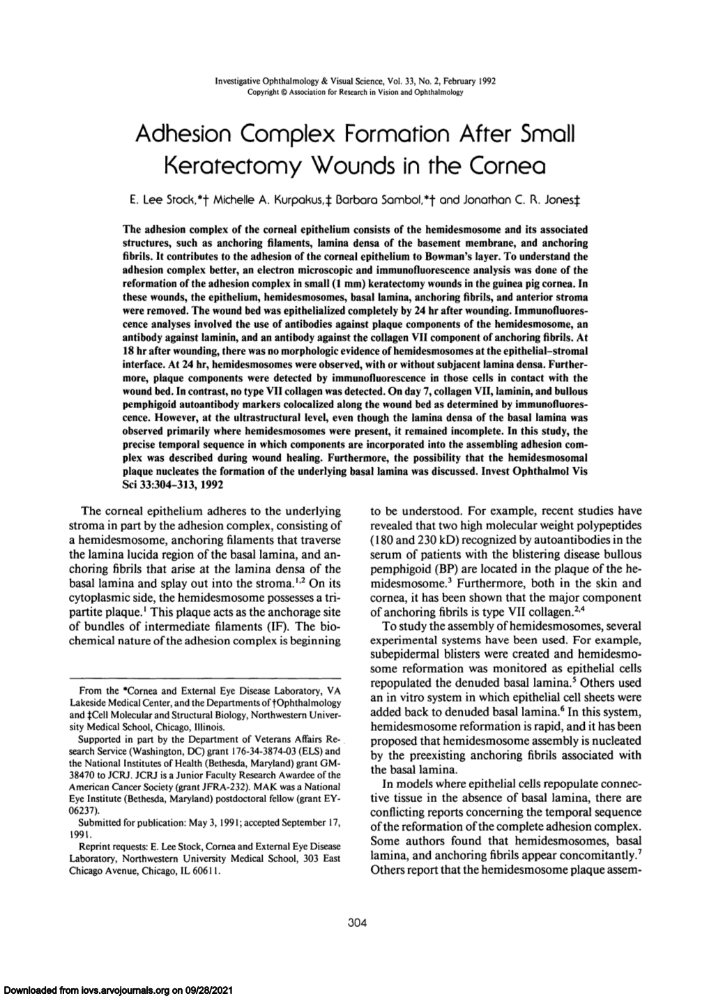 Adhesion Complex Formation After Small Keratectomy Wounds in the Cornea