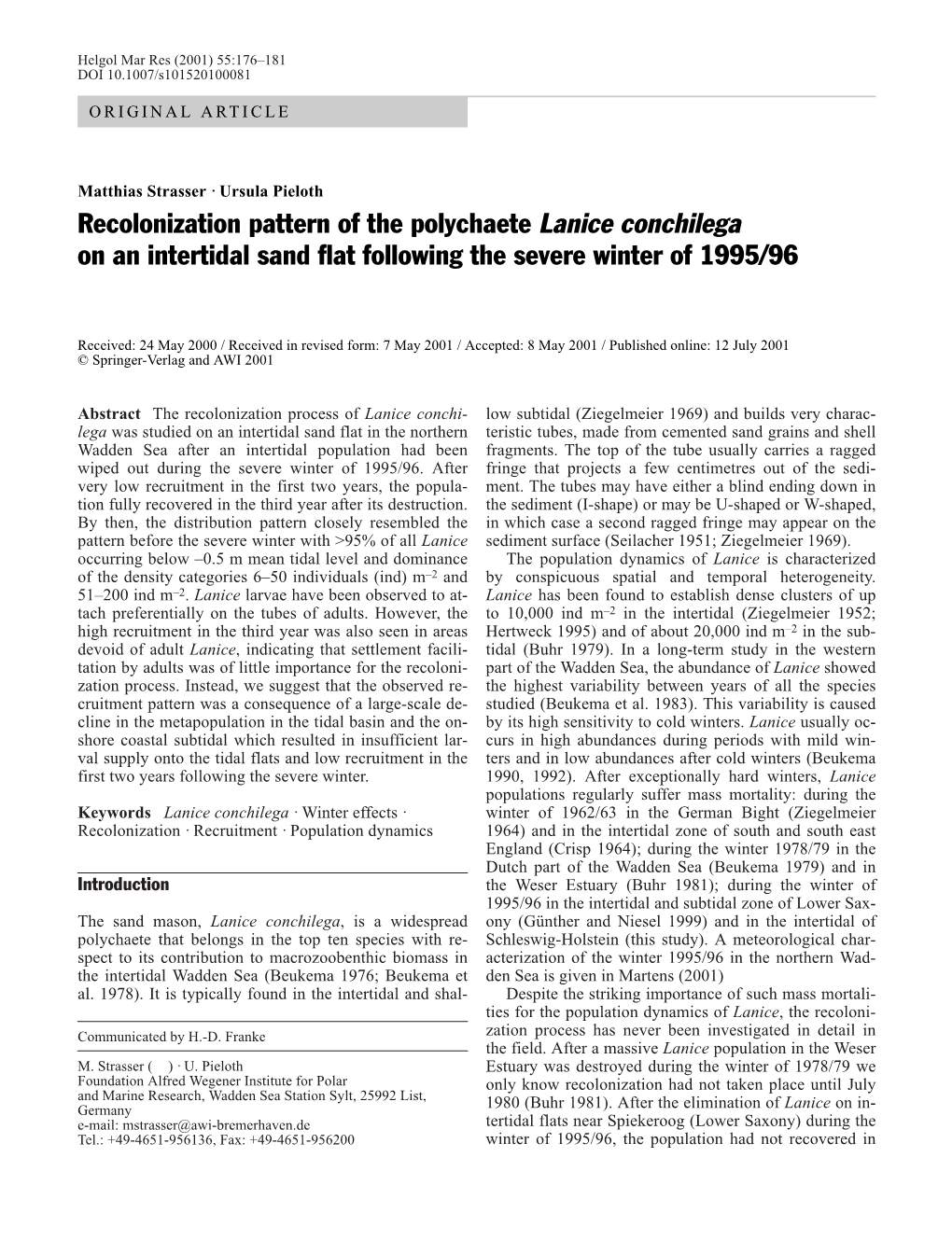 Recolonization Pattern of the Polychaete Lanice Conchilega on an Intertidal Sand Flat Following the Severe Winter of 1995/96