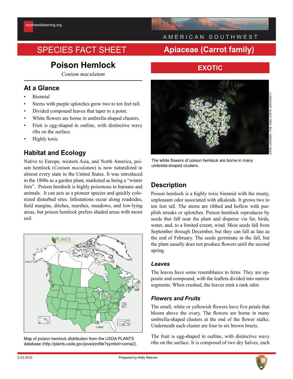 Poison Hemlock Species Fact Sheet