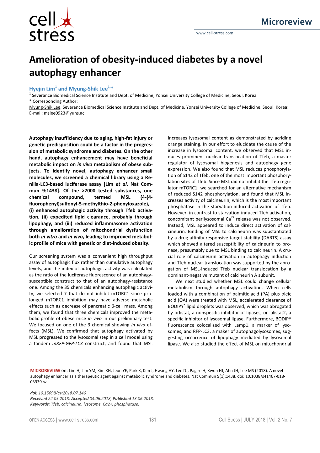 Amelioration of Obesity-Induced Diabetes by a Novel Autophagy Enhancer