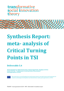 Synthesis Report: Meta- Analysis of Critical Turning Points in TSI