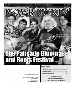 The Palisade Bluegrass and Roots Festival