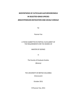 Biosynthesis of Cuticular Alkylresorcinols in Selected Grass Species