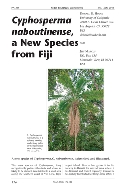 Cyphosperma Naboutinense, a New Species from Fiji