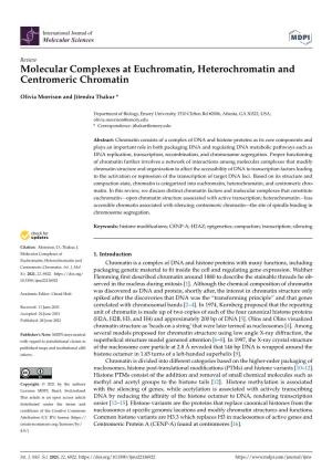 Molecular Complexes at Euchromatin, Heterochromatin and Centromeric Chromatin