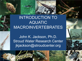 Introduction to Aquatic Macroinvertebrates