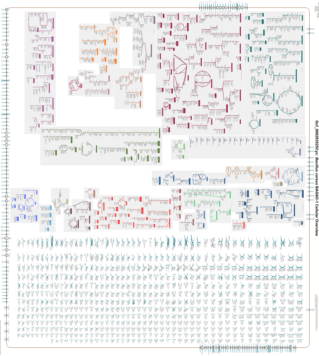 Generated by SRI International Pathway Tools Version 25.0, Authors S