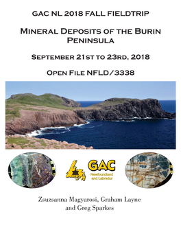 Mineral Deposits of the Burin Peninsula