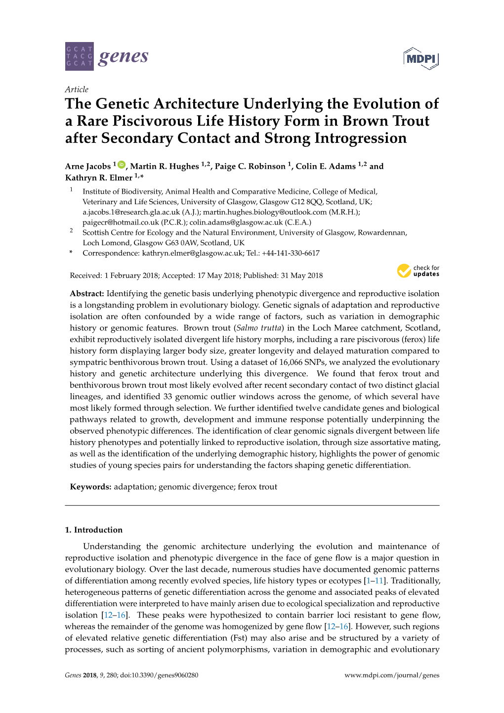 The Genetic Architecture Underlying the Evolution of a Rare Piscivorous Life History Form in Brown Trout After Secondary Contact and Strong Introgression