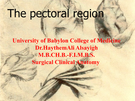 The Pectoral Region