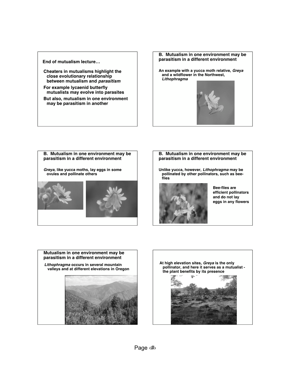 Page ‹#› at Lower Elevation Sites, the Beeflies Are Present and the Plant Sets More Seed When Greya Is Excluded