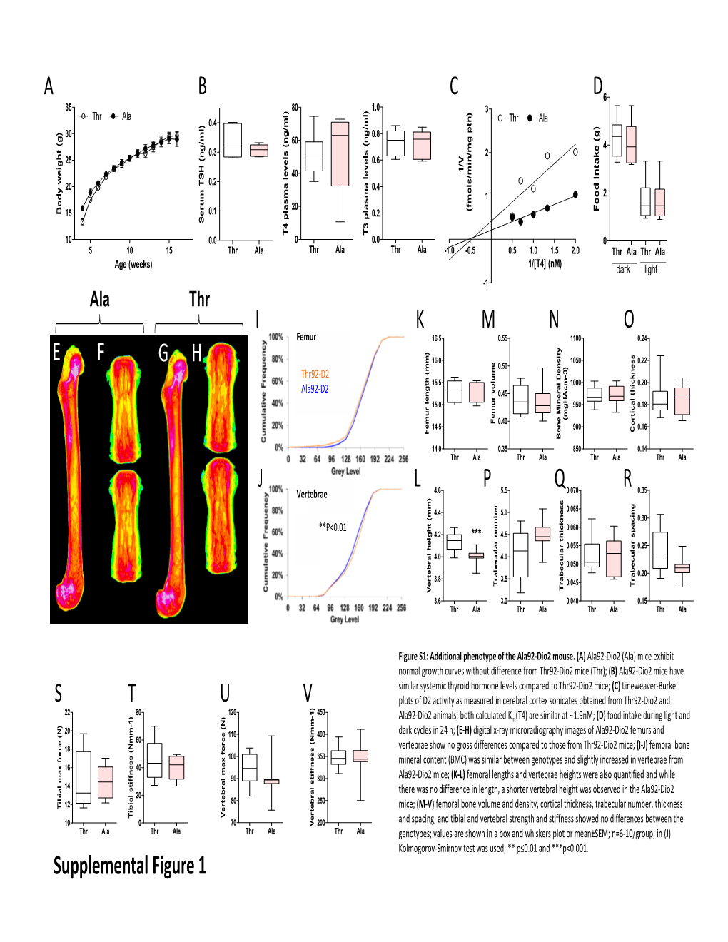 Supplemental Figure 1