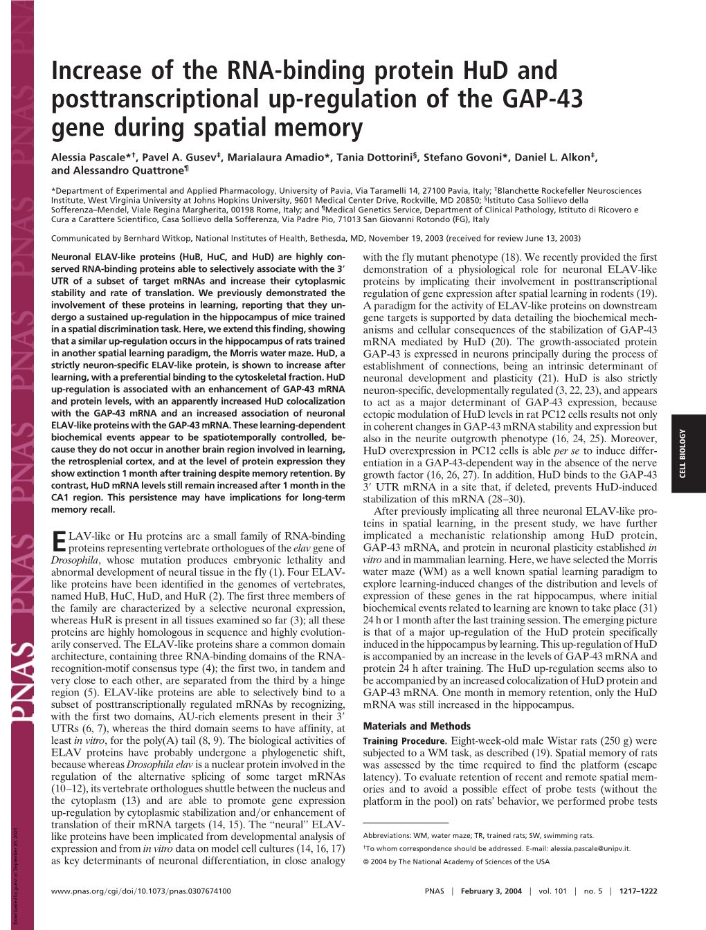Increase of the RNA-Binding Protein Hud and Posttranscriptional Up-Regulation of the GAP-43 Gene During Spatial Memory