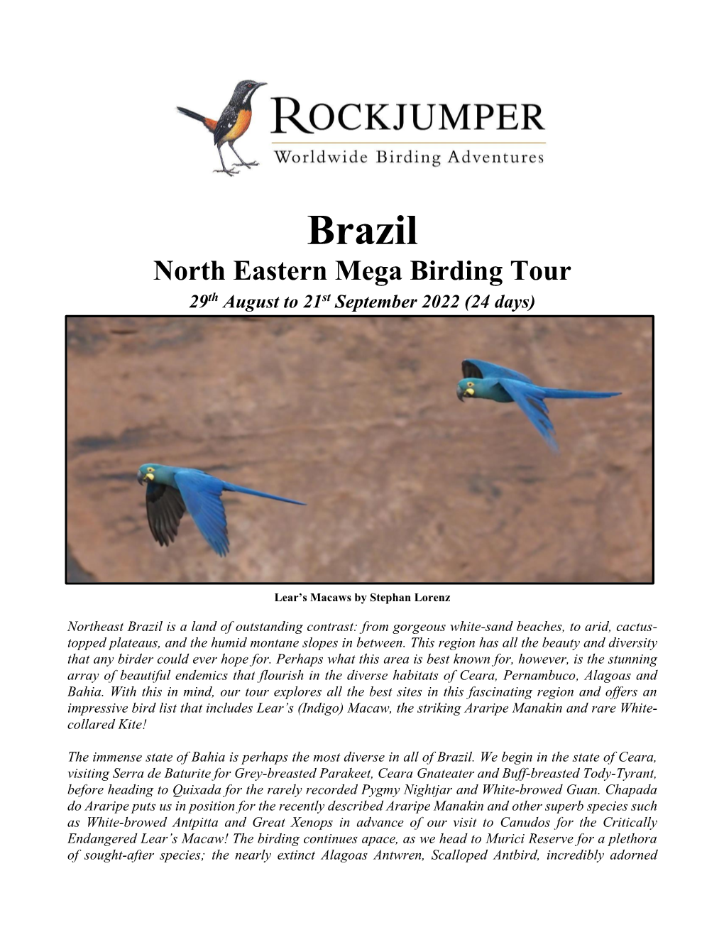 Brazil North Eastern Mega Birding Tour