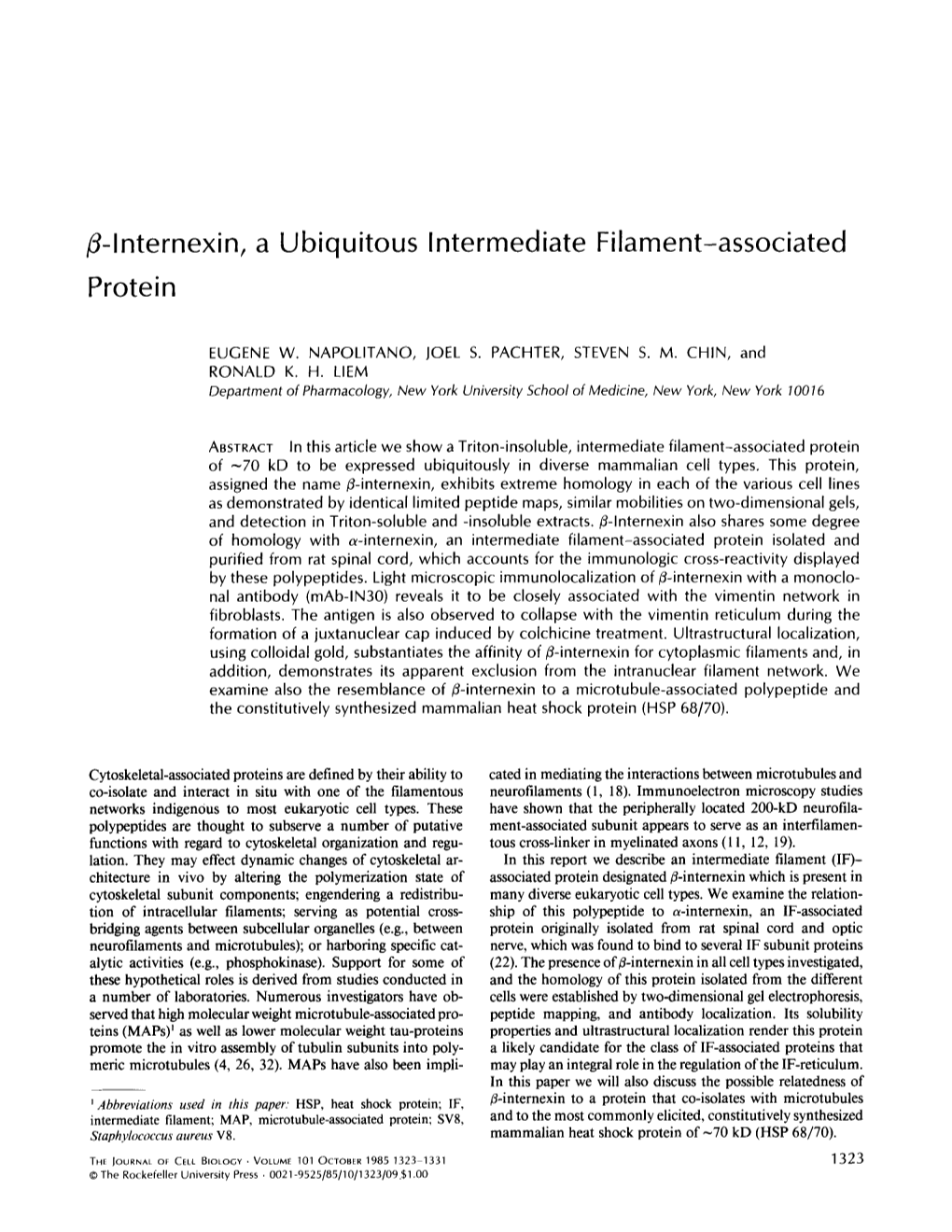 3-1Nternexin, a Protein Ubiquitous Intermediate Filament-Associated