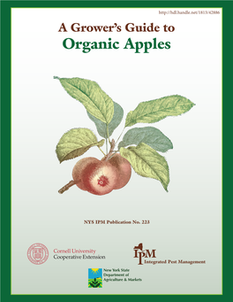 A Grower's Guide to Organic Apples