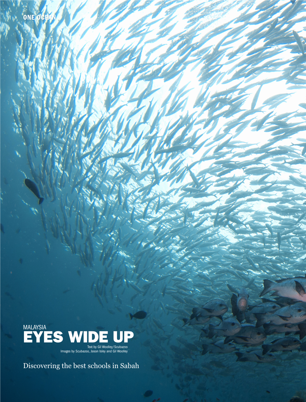 EYES WIDE up Text by Gil Woolley/Scubazoo Images by Scubazoo, Jason Isley and Gil Woolley